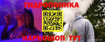мдпв Рязань