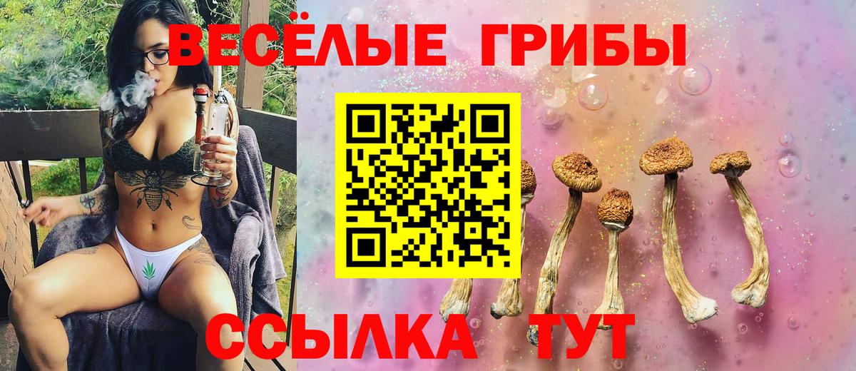 Галлюциногенные грибы прущие грибы Мурманск